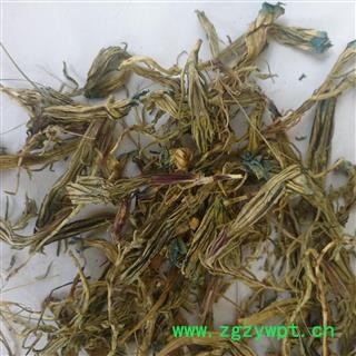 瑞森药材行 中药材 龙胆花 玉美人 虞美人 茶用210图2