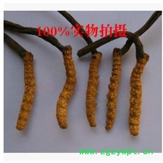 虫草小礼盒,虫草 冬虫夏草可以作为会议营销价位优惠高档实惠图4