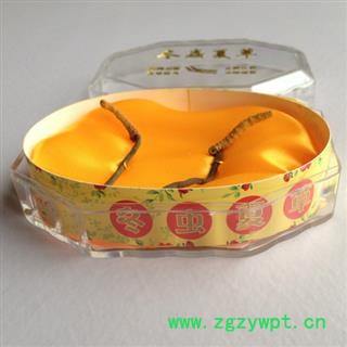 虫草小礼盒,虫草 冬虫夏草可以作为会议营销价位优惠高档实惠图2
