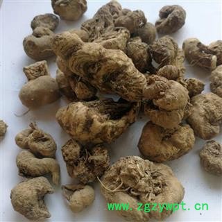 瑞森药材行 水田七 水三七 土三七 产地 广西柳州今年新货实物拍照图2