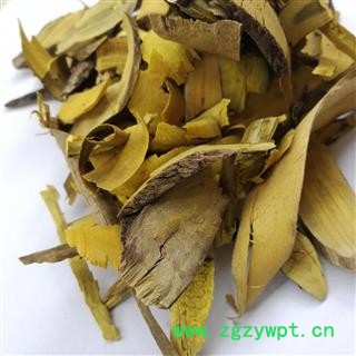 功劳木  黄藤代用品  十大功劳 土黄柏 黄柏 黄天竹 假黄藤图4