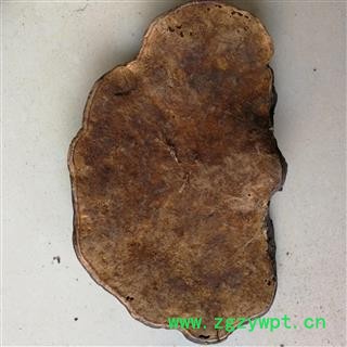 九盛堂中药材 粗毛褐孔菌 云南灵芝 槐蘑图4