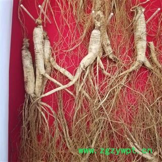 瑞森药材行 长白山山参 林下参 小支 5克左右 8-10年图2