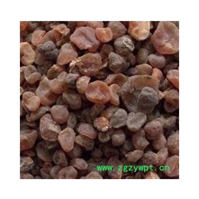 瑞森药材行土贝母  地苦胆 草贝 大贝母