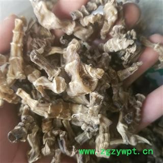 地参 竹根七 竹节参  统 产地 陕西省图4