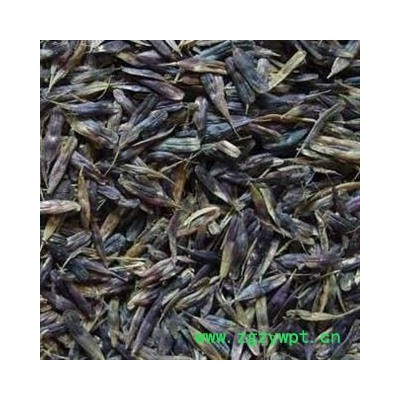 诺源药材行板蓝根 板蓝根籽