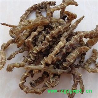 诺源药材行中药材地参 虫草参 银条菜图2