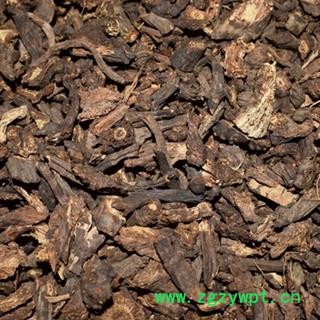 诺源药材行野生正品羌活 川羌活图2