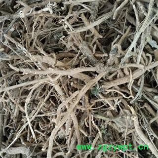 诺源药材行正品板蓝根 产地甘肃图3