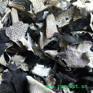 圣草康园石耳云南石耳 岩菇图2