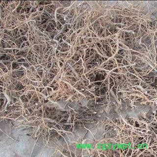 诺源药材行中药材虎刺根 老鼠刺 绣花针根 伏牛花根 干品图2