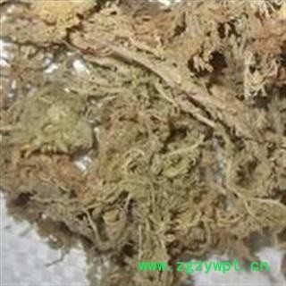 吉康药业石蕊花 云芝茶 太白花 太白树图2