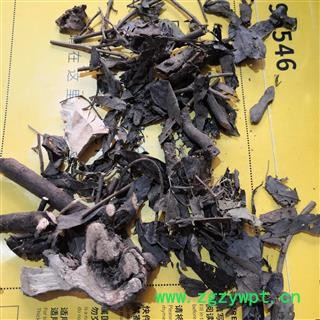诺源药材行正品朱砂根 大罗伞 珍珠伞图2