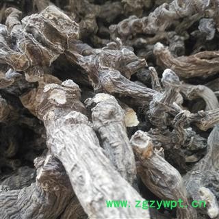 诺源药材行竹节参 野生竹节三七 竹三漆 白三七产地直销批发价图2