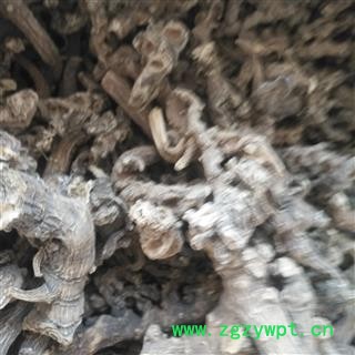 诺源药材行竹节参 野生竹节三七 竹三漆 白三七产地直销批发价图3