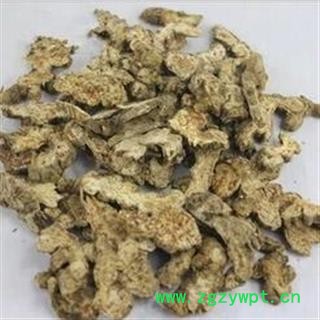 祁香药苑苍术 内蒙苍术  另有承德朱砂苍术图3