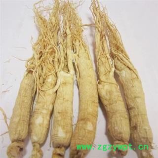 诺源中药材中药材人参  野山参图2