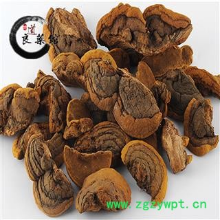 灵芝 野生桑黄 野生灵芝 药典标准地道良药馆1000克直销 品种齐全 一站购齐图2