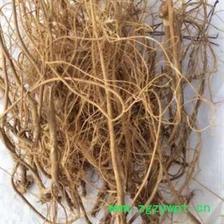 安祁名药正品野生 石参根 岩参图2