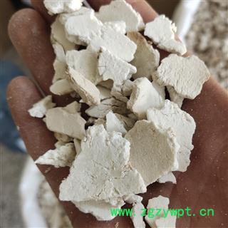 茯苓 精选 茯苓片丝 纯白无黑边丝 质量好 关书药业 产地 安徽省安庆市图2