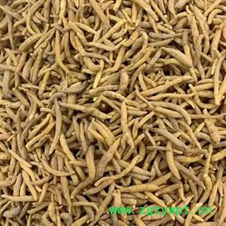 中药材太子参 太子参选货 太子参统货 本品是绿色无硫熏蒸 手工采摘精选 干净无杂 健康无添加 自然晾晒 品质有保证 安国中药材批发零售大全图3