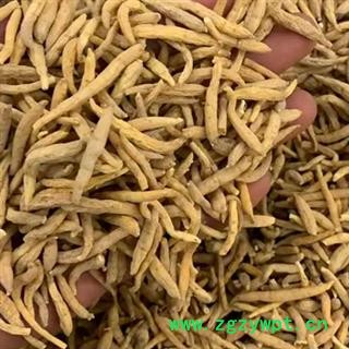 中药材太子参 太子参选货 太子参统货 本品是绿色无硫熏蒸 手工采摘精选 干净无杂 健康无添加 自然晾晒 品质有保证 安国中药材批发零售大全图4