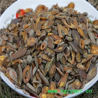 煜庭药业 郁金图4