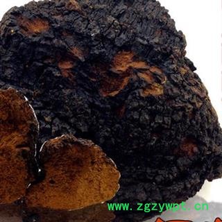 小丽百草行灵芝  桦褐灵芝 白桦茸桦褐孔菌 产地广西图2