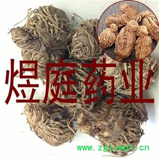 煜庭药业 头顶一棵珠 头顶一颗珠 玉儿七 佛手七 黄花三七 尸儿七 芋儿七 狮儿七图2