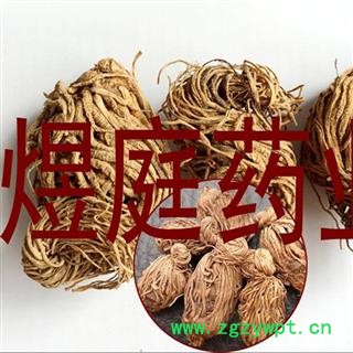煜庭药业 头顶一棵珠 头顶一颗珠 玉儿七 佛手七 黄花三七 尸儿七 芋儿七 狮儿七图4