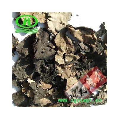 世元药业 石耳 正品 假货肉质薄 石木耳 岩菇 石壁花 地耳 优质