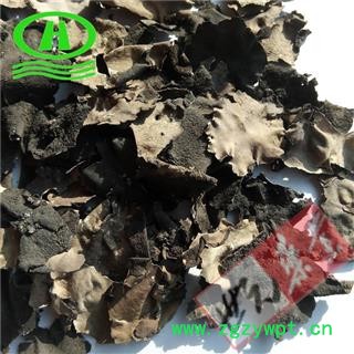 世元药业 石耳 正品 假货肉质薄 石木耳 岩菇 石壁花 地耳 优质图2