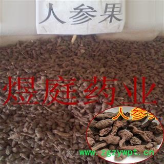 煜庭药业 人参果 蕨麻 凤果 长寿果 正品 鹅绒委陵菜 莲花菜 蕨麻委陵菜 延寿草图4