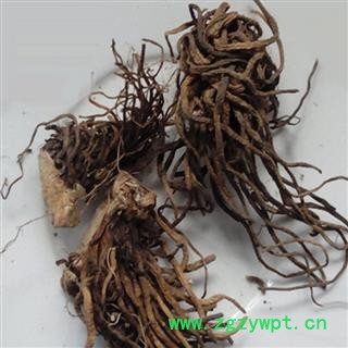 正品中药材 藜芦 力芦 山葱图4