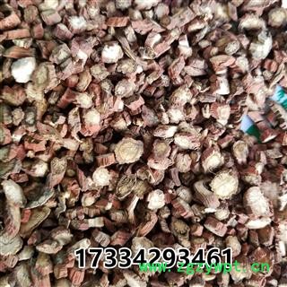 丹参 山西万荣红皮  红根 大红袍 血参根图4