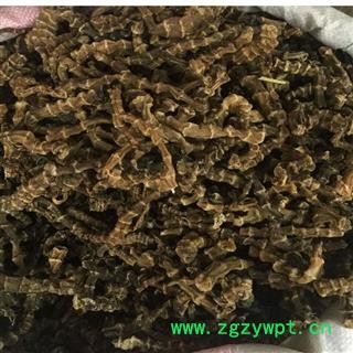 瑞森药材行九阳草中药材地参 云南腾冲虫草参竹节参干品图2
