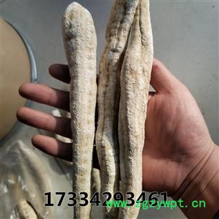 天花粉  栝楼根 瓜蒌根图4