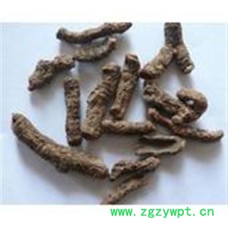 常年产地大货供应 血三七  各种规格图2