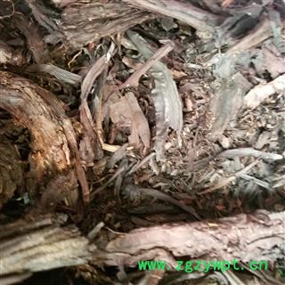 紫草根软紫草 山紫草 紫丹 紫芙 藐 地血 鸦衔草图3