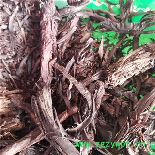 紫草根软紫草 山紫草 紫丹 紫芙 藐 地血 鸦衔草图2