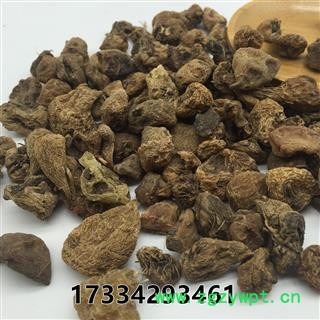 山慈菇 山茨菇 山茨菰 毛慈菇 金灯花 鹿蹄草 人头七 中药材初级农产品图4