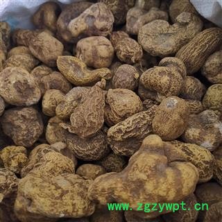 瑞森药材行中药材金果揽 九牛胆 金榄 金牛胆 地苦胆个子选货图2