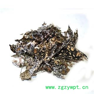 九盛堂 老龙皮 石龙皮 网肺衣 石龙衣图4