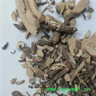 瑞森药材行 朱砂根 红铜盘 硃砂根 八角金龙 凉伞遮金珠 石青子 珍珠伞图4