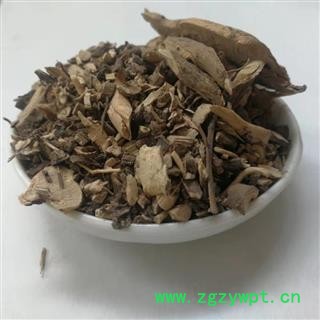 瑞森药材行 朱砂根 红铜盘 硃砂根 八角金龙 凉伞遮金珠 石青子 珍珠伞图2
