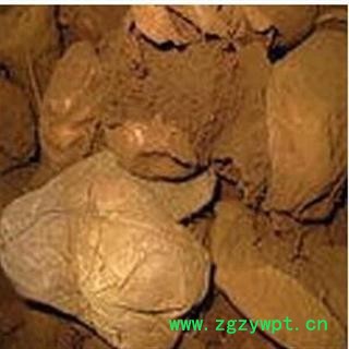 圣草康园中药材马勃 真菌 无污染图2