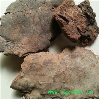 圣草康园 斑褐灵芝（树皮芝）海南产地图2