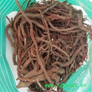 诺源药材行优质山东日照丹参  含量高 优质无硫图2