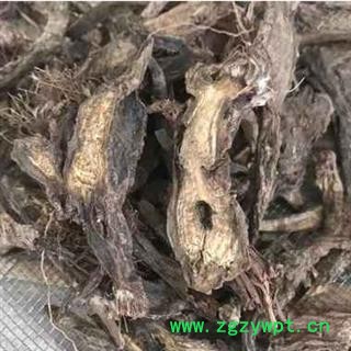 诺源药材行中药材正品虎掌草 汉虎掌图2