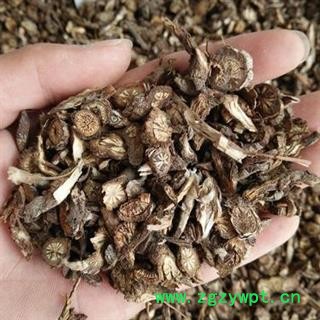 安祁名药白头翁 统 产地 河北省图2